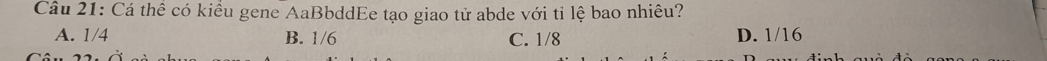 Cá thể có kiều gene AaBbddEe tạo giao tử abde với tỉ lệ bao nhiêu?
A. 1/4 B. 1/6 C. 1/8 D. 1/16