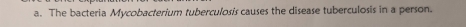 The bacteria Mycobacterium tuberculosis causes the disease tuberculosis in a person.