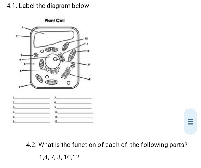 Label the diagram below: 
__7 
2._ 
_ 
_1 
_ 
_4 
10_ 
_5 
11_ 
_6
12 _ 

4.2. What is the function of each of the following parts?
1, 4, 7, 8, 10, 12