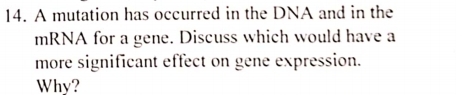 A mutation has occurred in the DNA and in the 
mRNA for a gene. Discuss which would have a 
more significant effect on gene expression. 
Why?