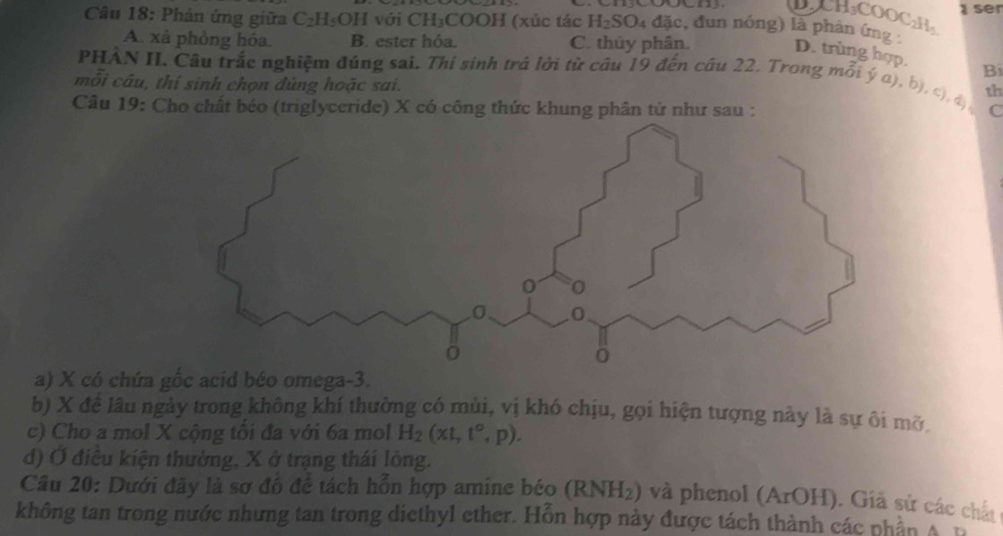 Phản ứng giữa C₂H₃OH với CH₃COOH (xúc tác H_2SO_4 1 đặc, đun nóng) là phản ứng CH_3COOC_2H_5 ser
A. xà phòng hóa. B. ester hóa. C. thủy phân.
D. trùng hợp. B
PHÀN II. Câu trắc nghiệm đúng sai. Thí sinh trả lời từ câu 19 đến câu 22. Trong mỗi ý α), b), c), đ),
mỗi câu, thí sinh chọn đùng hoặc sai.
Câu 19: Cho chất béo (triglyceride) X có công thức khung phân tử như sau :
C
a) X có chứa gốc acid béo omega -3.
b) X để lâu ngày trong không khí thường có mùi, vị khó chịu, gọi hiện tượng này là sự ôi mỡ,
c) Cho a mol X cộng tối đa với 6a mol H_2(xt,t^o,p). 
d) Ở điều kiện thường, X ở trạng thái lòng.
Câu 20: Dưới đây là sơ đô để tách hỗn hợp amine béo (RNH_2) và phenol (ArOH) ). Giả sử các chất
không tan trong nước nhưng tan trong diethyl ether. Hỗn hợp này được tách thành các phần A