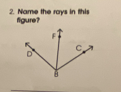 Name the rays in this 
figure?