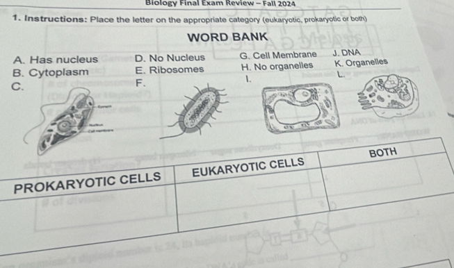 Biology Final Exam Review - Fall 2024
1. Instructions: Place the letter on the appropriate category (eukaryotic, prokaryotic or both)
WORD BANK
A. Has nucleus D. No Nucleus G. Cell Membrane J. DNA
B. Cytoplasm E. Ribosomes H. No organelles K. Organelles
C.
F.
1.
L.