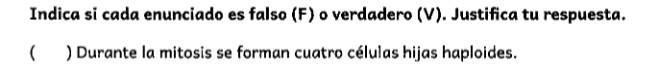 Indica si cada enunciado es falso (F) o verdadero (V). Justifica tu respuesta. 
( ) Durante la mitosis se forman cuatro células hijas haploides.