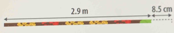 2. 9 m 8.5 cm