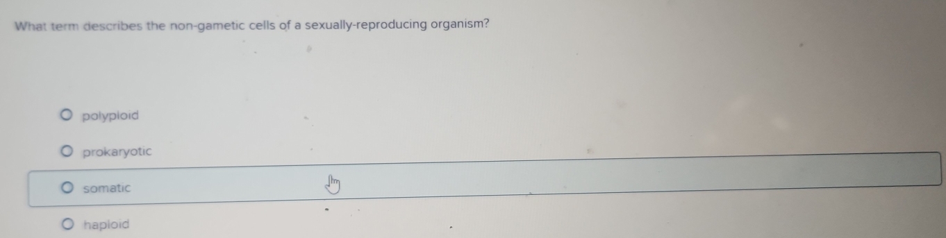 What term describes the non-gametic cells of a sexually-reproducing organism?
polyploid
prokaryotic
somatic
haploid