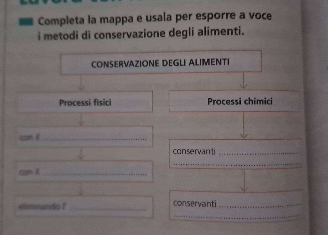 Completa la mappa e usala per esporre a voce 
i metodi di conservazione degli alimenti. 
CONSERVAZIONE DEGLI ALIMENTI 
Processi fisici Processi chimici 
can il_ 
conservanti_ 
_ 
can il_ 
_ 
_ 
elimnando ?_ 
conservanti_