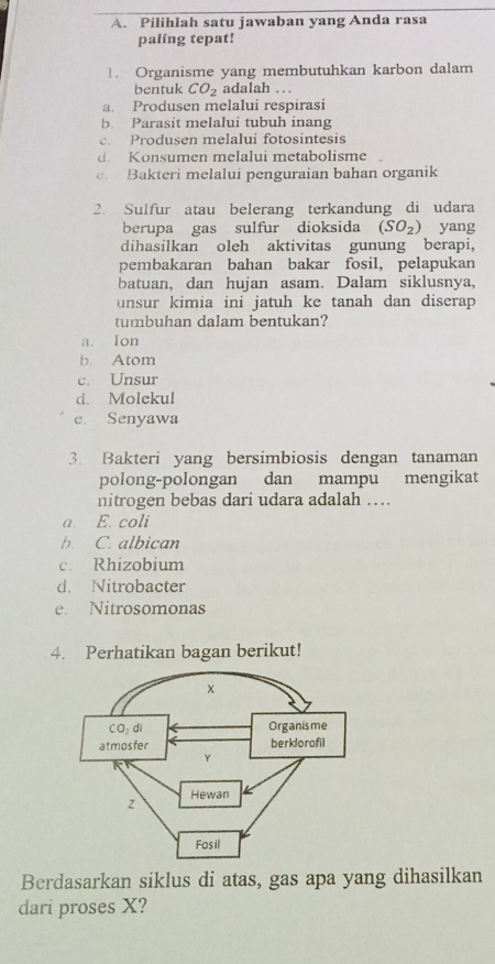 Pilihlah satu jawaban yang Anda rasa
paling tepat!
1. Organisme yang membutuhkan karbon dalam
bentuk CO_2 adalah . .
a. Produsen melalui respirasi
b. Parasit melalui tubuh inang
c. Produsen melalui fotosintesis
d. Konsumen melalui metabolisme.
e. Bakteri melalui penguraian bahan organik
2. Sulfur atau belerang terkandung di udara
berupa gas sulfur dioksida (SO_2) yang
dihasilkan oleh aktivitas gunung berapi.
pembakaran bahan bakar fosil, pelapukan
batuan, dan hujan asam. Dalam siklusnya.
unsur kimia ini jatuh ke tanah dan diserap 
tumbuhan dalam bentukan?
a. Ion
b. Atom
c. Unsur
d. Molekul
e. Senyawa
3. Bakteri yang bersimbiosis dengan tanaman
polong-polongan dan mampu mengikat
nitrogen bebas dari udara adalah ….
a. E. coli
b. C. albican
c. Rhizobium
d. Nitrobacter
e. Nitrosomonas
4. Perhatikan bagan berikut!
Berdasarkan siklus di atas, gas apa yang dihasilkan
dari proses X?