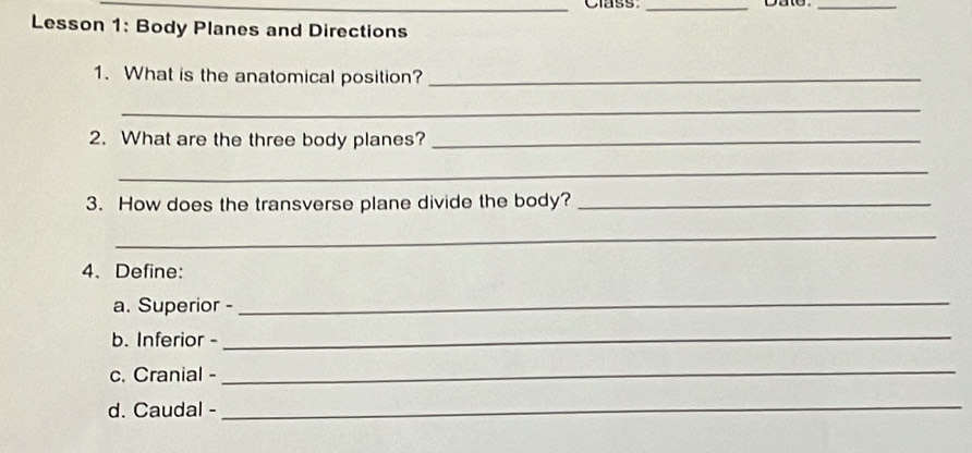 Class:_ 
_ 
Lesson 1: Body Planes and Directions 
1. What is the anatomical position?_ 
_ 
2. What are the three body planes?_ 
_ 
3. How does the transverse plane divide the body?_ 
_ 
4、 Define: 
a. Superior -_ 
b. Inferior -_ 
c. Cranial - 
_ 
d. Caudal -_