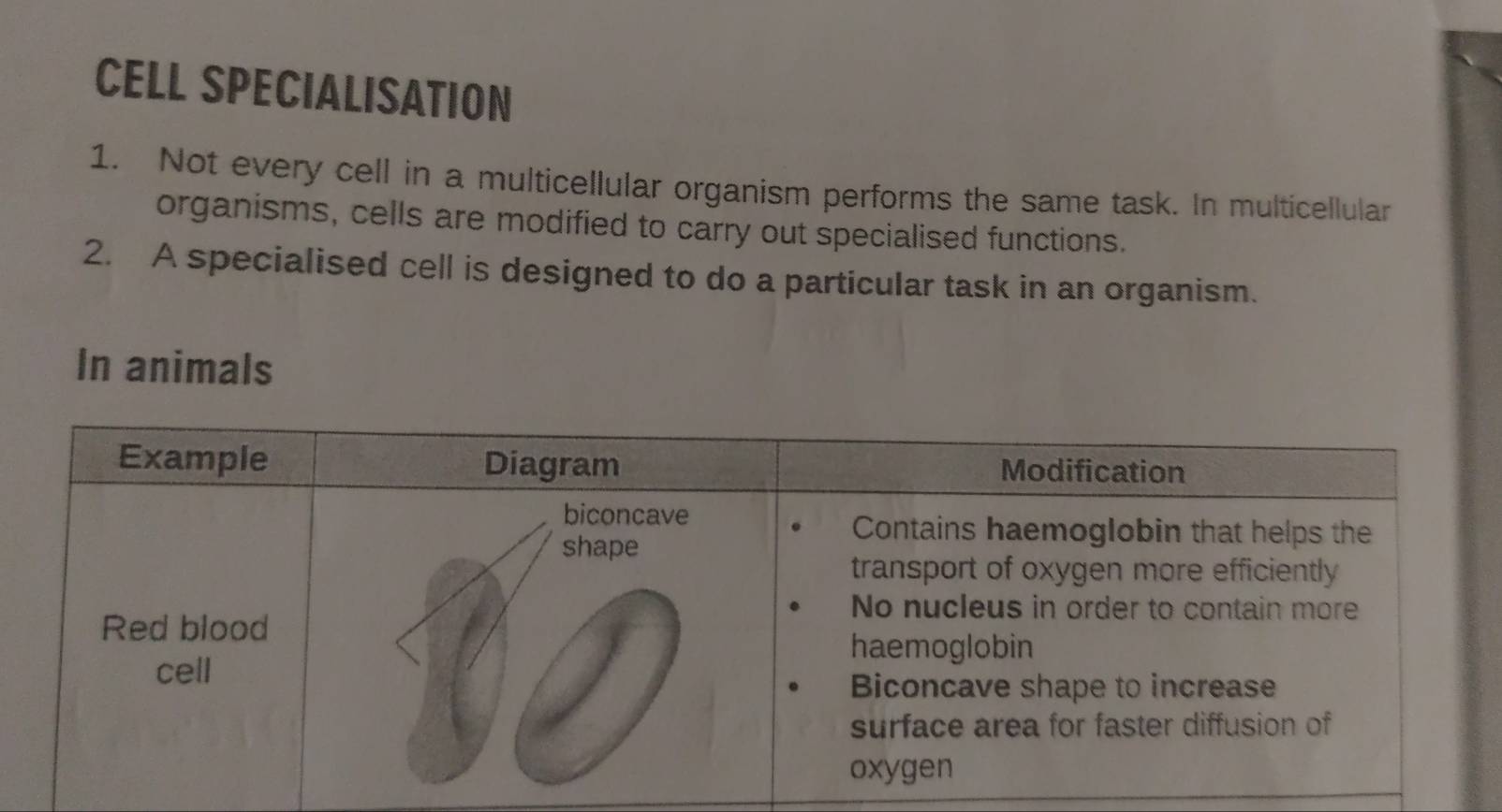 CELL SPECIALISATION 
1. Not every cell in a multicellular organism performs the same task. In multicellular 
organisms, cells are modified to carry out specialised functions. 
2. A specialised cell is designed to do a particular task in an organism. 
In animals