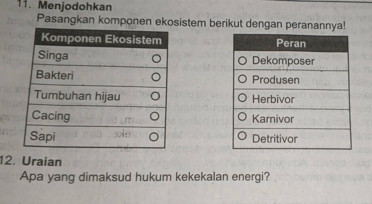 Menjodohkan 
Pasangkan komponen ekosistem berikut dengan peranannya! 


12. Uraian 
Apa yang dimaksud hukum kekekalan energi?