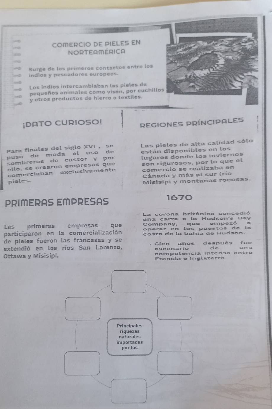 COMERCIO DE PIELES EN 
NORTEAMÉRICA 
Surge de los primeros contactos entre los 
indios y pescadores europeos. 
Los indios intercambiaban las pieles de 
pequeños animales como visón, por cuchill 
y otros productos de hierro o textiles. 
¡DATO CURIOSO! 
REGIONES PRÍNCIPALES 
Para finales del siglo XVI ， se Las pieles de alta calidad sólo 
puso de moda el uso de están disponibles en los 
sombreros de castor y por lugares donde los inviernos 
ello, se crearon empresas que son rigurosos, por lo que el 
comerciaban exclusivamente comercio se realizaba en 
pieles. Cánada y más al sur (río 
Misisipi y montañas rocosas. 
PRIMERAS EMPRESAS 
1670 
La corona británica concedió 
una carta a la Hudson's Bay 
Las primeras empresas que Company, que empezó a 
operar en los puestos de la 
participaron en la comercialización costa de la bahía de Hudson. 
de pieles fueron las francesas y se 
Cien años después fue 
extendió en los ríos San Lorenzo, escenario de un a 
Ottawa y Misisipi. competencia intensa entre 
Francia e Inglaterra. 
Principales 
riquezas 
naturales 
importadas 
por los