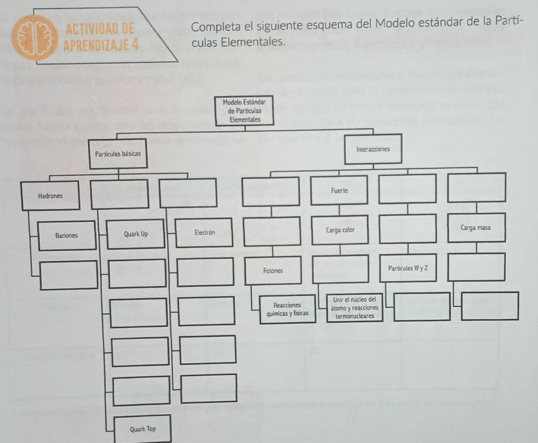 ACTIVIDAD DE Completa el siguiente esquema del Modelo estándar de la Partí- 
13 APRENDIZAJE 4 culas Elementales. 
Quark Top