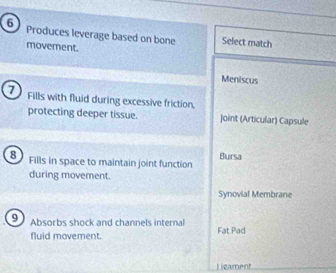 Produces leverage based on bone Select match
movement.
Meniscus
7 Fills with fluid during excessive friction,
protecting deeper tissue. Joint (Articular) Capsule
Bursa
8 Fills in space to maintain joint function
during movement.
Synovial Membrane
9 Absorbs shock and channels internal
Fat Pad
fluid movement.
Ligament