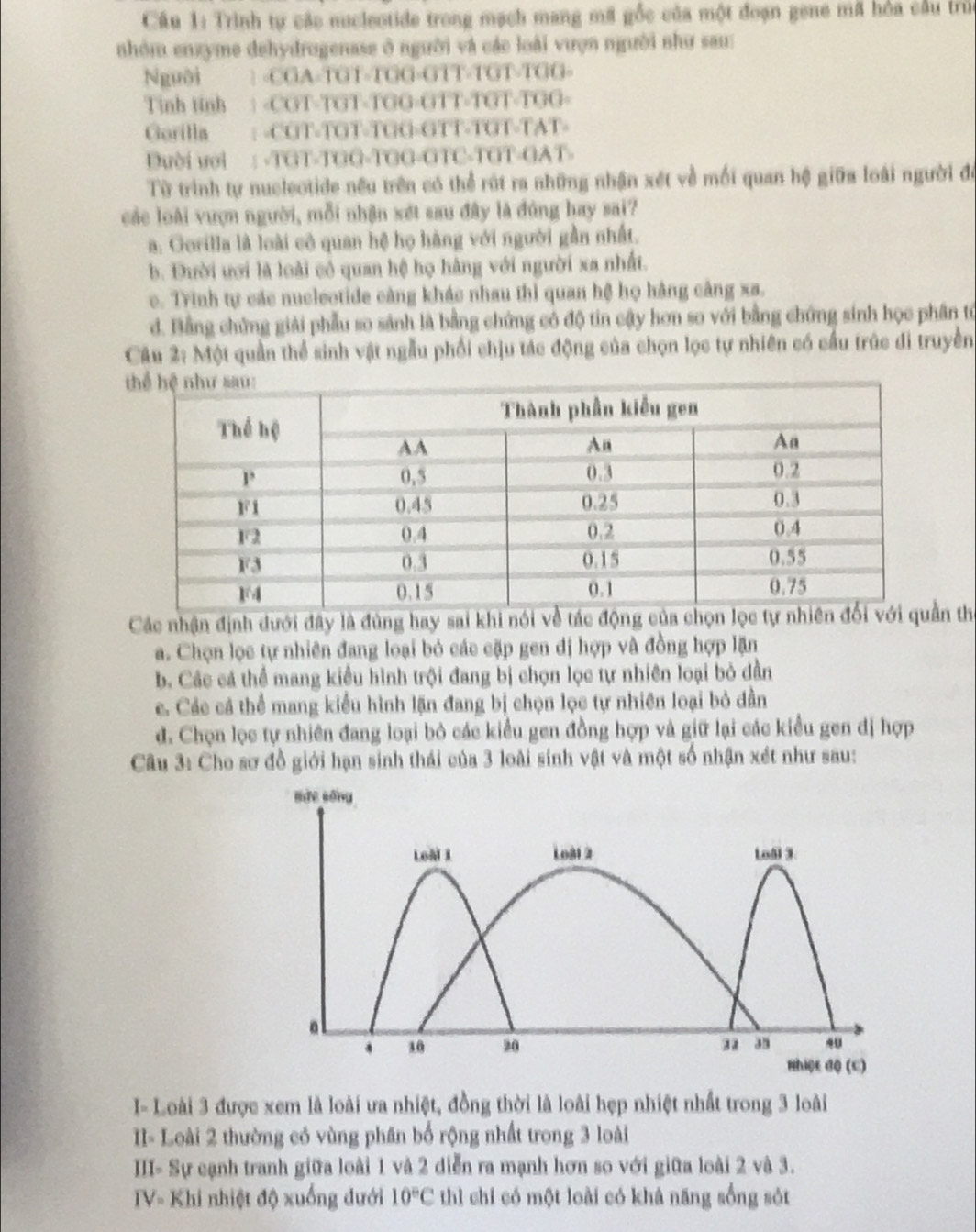 Trình tự các nucleotide trong mạch mang mã gốc của một đoạn gene mã hỏa cầu trú
nhóm enzyme dehydrogenase ở người và các loài vượn người như sau:
Nguời 1 -CGA-TGT-TGG-GTT-TGT-TGG-
Tinh tinh | -CGT-TGT-TGG-GTT-TGT-TGG-
Gorilla : -CGT-TGT-TGG-GTT-TGT-TAT-
Dười ưoi : -TGT-TGG-TGG-GTC-TGT-GAT-
Từ trình tự nucleotide nều trên có thể rút ra những nhận xét về mối quan hệ giữa loài người đó
các loài vượn người, mỗi nhận xét sau đây là đúng hay sai?
a. Gorilla là loài cô quan hệ họ hàng với người gần nhất.
b. Đười ưới là loài có quan hệ họ hàng với người xa nhất.
c. Trinh tự các nucleotide càng khác nhau thì quan hệ họ hàng câng xa.
d. Bằng chứng giải phẫu so sánh là bằng chứng có độ tin cậy hơn so với bằng chứng sinh học phân tổ
Câu 2: Một quần thể sinh vật ngẫu phối chịu tác động của chọn lọc tự nhiên có cầu trúc đi truyền
Các nhận định dưới đây là đùng hay sai khi nói về tán thể
a. Chọn lọc tự nhiên đang loại bỏ các cặp gen dị hợp và đồng hợp lặn
b. Các cá thể mang kiểu hình trội đang bị chọn lọc tự nhiên loại bỏ dần
c. Các cá thể mang kiểu hình lặn đang bị chọn lọc tự nhiên loại bỏ dần
d. Chọn lọc tự nhiên đang loại bỏ các kiểu gen đồng hợp và giữ lại các kiểu gen đị hợp
Câu 3: Cho sơ đồ giới hạn sinh thái của 3 loài sinh vật và một số nhận xét như sau:
I- Loài 3 được xem là loài ưa nhiệt, đồng thời là loài hẹp nhiệt nhất trong 3 loài
I- Loài 2 thường có vùng phân bố rộng nhất trong 3 loài
III- Sự cạnh tranh giữa loài 1 và 2 diễn ra mạnh hơn so với giữa loài 2 và 3.
TV- Khi nhiệt độ xuống đưới 10°C thì chỉ có một loài có khả năng sống sót