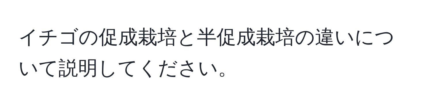 イチゴの促成栽培と半促成栽培の違いについて説明してください。