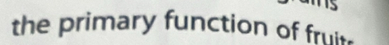 the primary function of fruis-