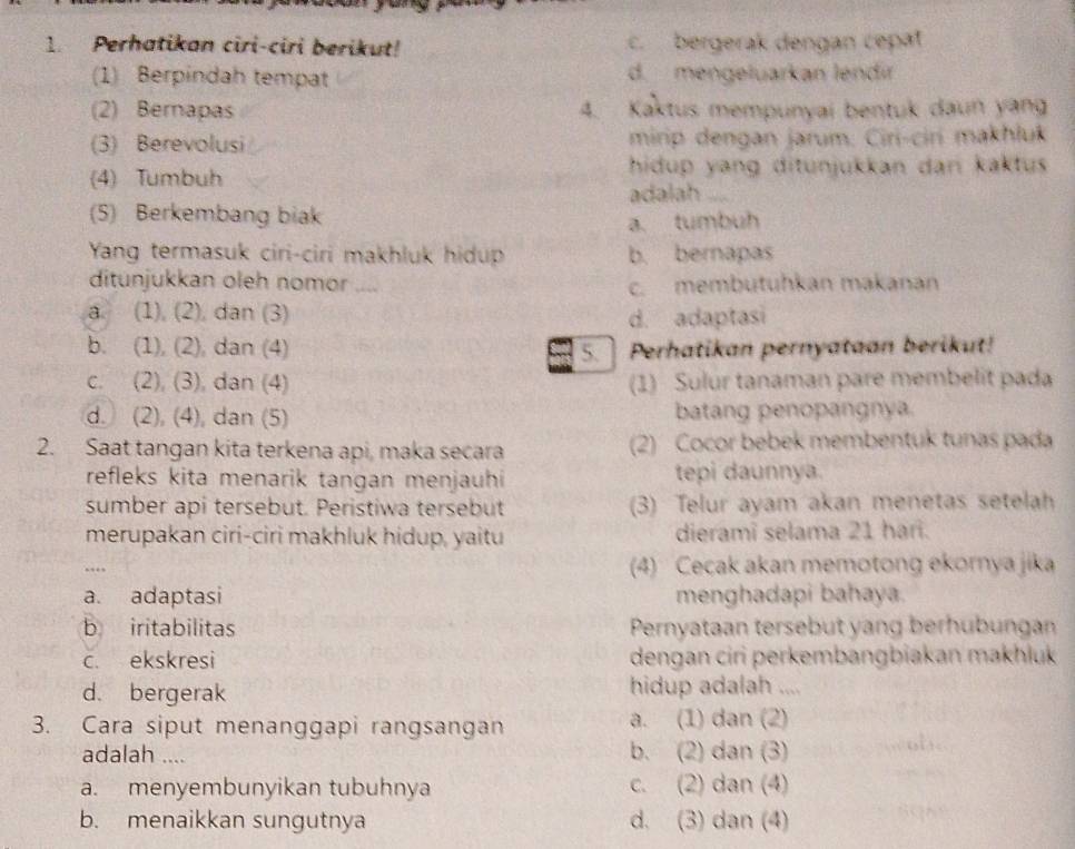 Perhatikan ciri-ciri berikut! c. bergerak dengan cepat
(1) Berpindah tempat d. mengeluarkan lendır
(2) Bernapas 4. Kaktus mempunyai bentuk daun yang
(3) Berevolusi mirip dengan jarum. Ciri-ciri makhluk
(4) Tumbuh hidup yang ditunjukkan dar kaktus
adalah
(5) Berkembang biak
a. tumbuh
Yang termasuk ciri-ciri makhluk hidup b. bernapas
ditunjukkan oleh nomor ,. “ c. membutuhkan makanan
a. (1). (2), dan (3) d. adaptasi
b. (1), (2), dan (4) 5. Perhatikan pernyataan berikut!
c. (2), (3), dan (4) (1) Sulur tanaman pare membelit pada
d. (2), (4), dan (5) batang penopangnya.
2. Saat tangan kita terkena api, maka secara (2) Cocor bebek membentuk tunas pada
refleks kita menarik tangan menjauhi tepi daunnya.
sumber api tersebut. Peristiwa tersebut (3) Telur ayam akan menetas setelah
merupakan ciri-ciri makhluk hidup, yaitu dieramî selama 21 hari.
..._  (4)  Cecak akan memotong ekornya jika
a. adaptasi menghadapi bahaya.
b iritabilitas Pernyataan tersebut yang berhübungan
c. ekskresi dengan ciri perkembangbiakan makhluk
d. bergerak hidup adalah ....
3. Cara siput menanggapi rangsangan a. (1) dan (2)
adalah .... b. (2) dan (3)
a. menyembunyikan tubuhnya c. (2) dan (4)
b. menaikkan sungutnya d. (3) dan (4)