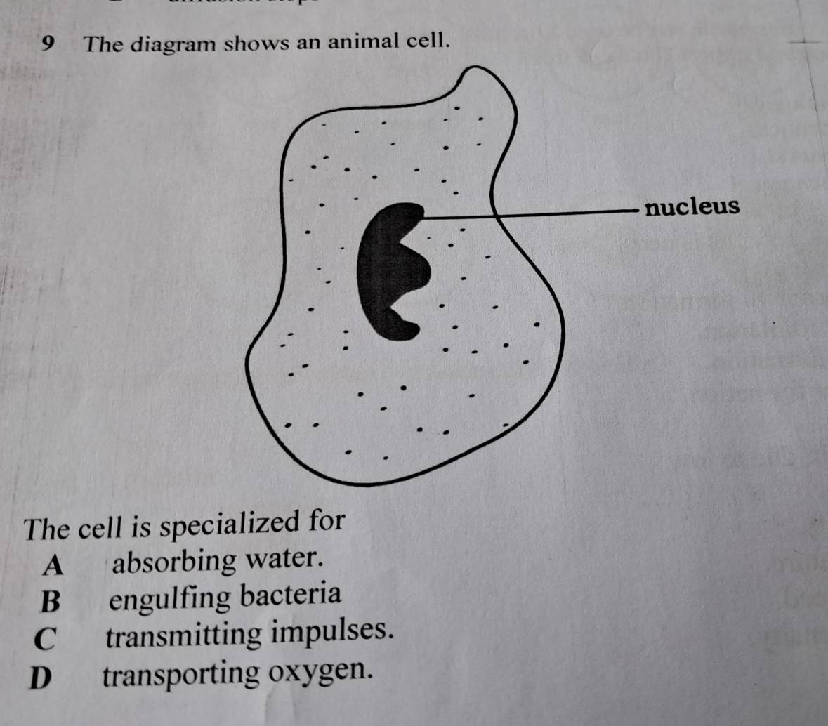 Solved: The diagram shows an animal cell. The cell is specialized for A ...