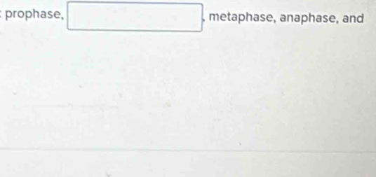 prophase, □. , metaphase, anaphase, and