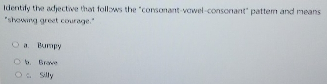 Identify the adjective that follows the "consonant-vowel-consonant" pattern and means
"showing great courage."
a. Bumpy
b. Brave
c. Silly