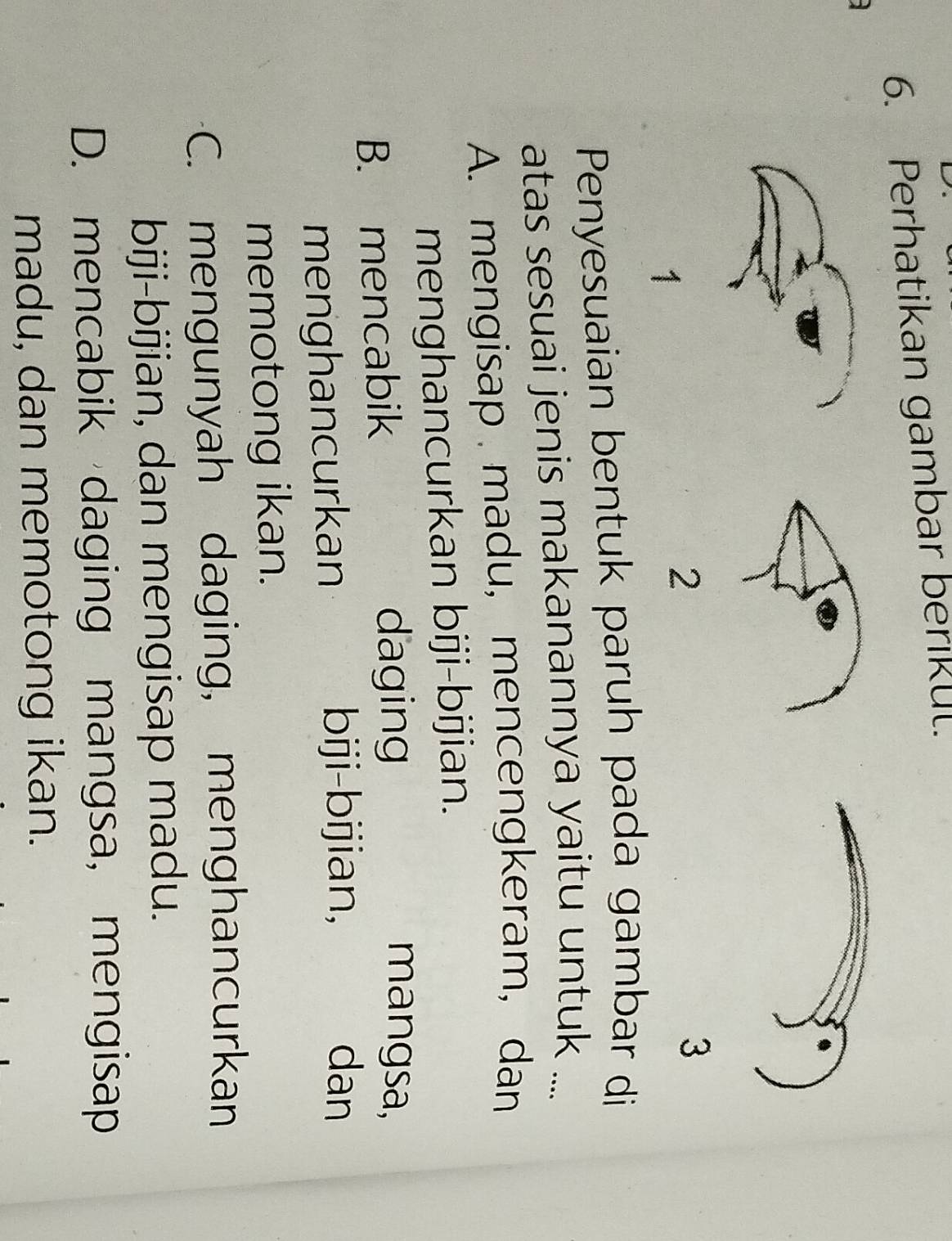 Perhatikan gambar berikul.
1
2
3
Penyesuaian bentuk paruh pada gambar di
atas sesuai jenis makanannya yaitu untuk ....
A. mengisap madu, mencengkeram, dan
menghancurkan biji-bijian.
B. mencabik
daging mangsa,
menghancurkan
biji-bijian, dan
memotong ikan.
C. mengunyah daging, menghancurkan
biji-bijian, dan mengisap madu.
D. mencabik daging mangsa, mengisap
madu, dan memotong ikan.