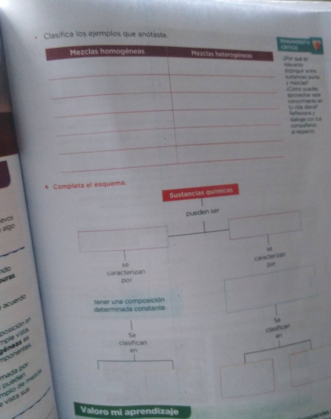 Resuelto:Clasifica los ejemplos que anotáste. Completa el esquema ...