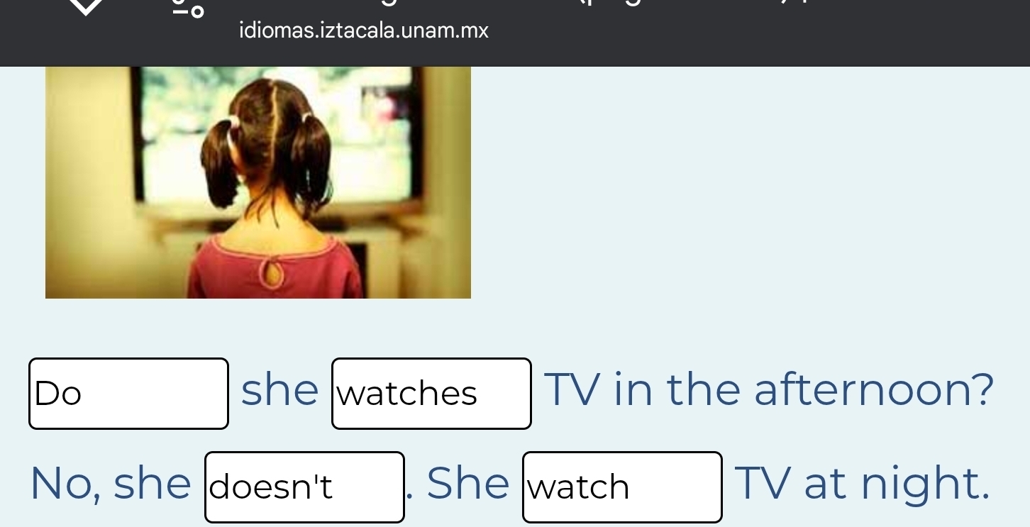 idiomas.iztacala.unam.mx 
Do she watches TV in the afternoon? 
No, she doesn't . She watch TV at night.