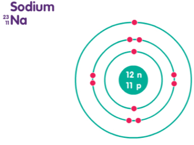 Sodium
23 Na 
1