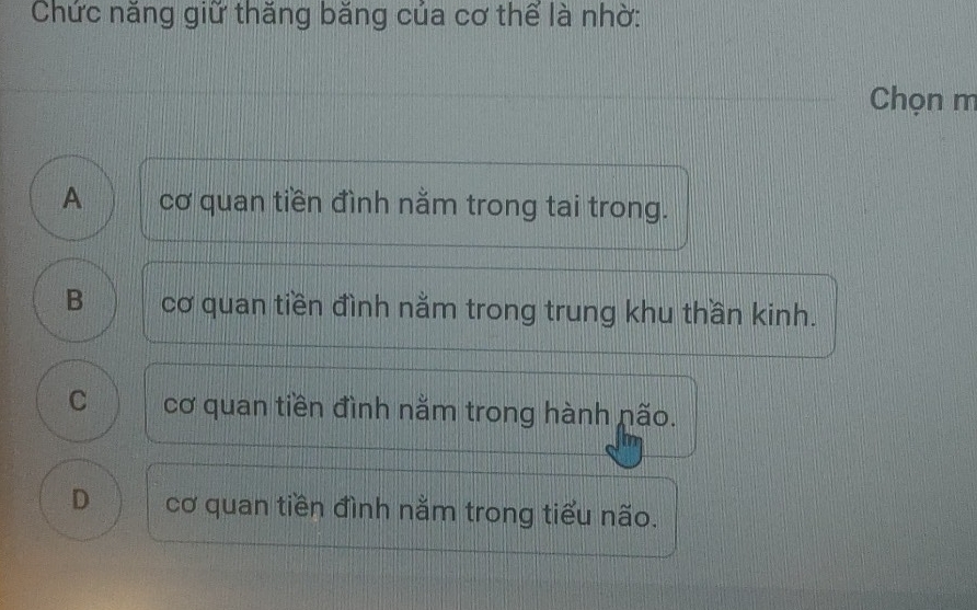 Chức năng giữ thăng băng của cơ thể là nhờ:
Chọn m
A cơ quan tiền đình nằm trong tai trong.
B cơ quan tiền đình nằm trong trung khu thần kinh.
C cơ quan tiền đình nằm trong hành não.
D cơ quan tiền đình nằm trong tiểu não.