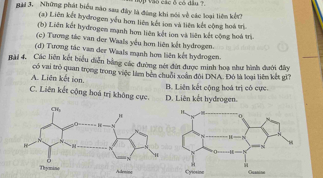 hợp vào các ô có dâu ?.
Bài 3. Những phát biểu nào sau đây là đúng khi nói về các loại liên kết?
(a) Liên kết hydrogen yếu hơn liên kết ion và liên kết cộng hoá trị.
(b) Liên kết hydrogen mạnh hơn liên kết ion và liên kết cộng hoá trị.
(c) Tương tác van der Waals yếu hơn liên kết hydrogen.
(d) Tương tác van der Waals mạnh hơn liên kết hydrogen.
Bài 4. Các liên kết biểu diễn bằng các đường nét đứt được minh hoạ như hình dưới đây
có vai trò quan trọng trong việc làm bền chuỗi xoắn đôi DNA. Đó là loại liên kết gì?
A. Liên kết ion.
B. Liên kết cộng hoá trị có cực.
C. Liên kết cộng hoá trị không cực. D. Liên kết hydrogen.