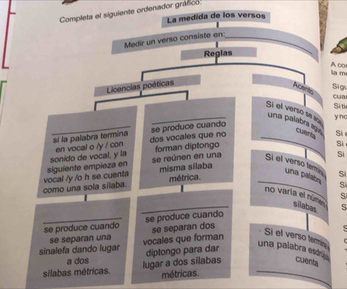 Completa el siguiente ordenador gráfico: 
La medida de los versos 
Medir un verso consiste en:_ 
Reglas 
A co 
la m 
Licencias poéticas 
Acento 
Si gu 
cua 
Si ti 
y no 
Si el verso se as una palabra aguó cuenta Si 
si la palabra termina se produce cuando 
Si 
sonido de vocal, y la en vocal o /y / con dos vocales que no 
Si 
siguiente empieza en se reúnen en una forman diptongo 
Si el verso termin una palabra Si 
vocal /y /o h se.cuenta misma sílaba 
como una sola sílaba. métrica. 
Si 
Si 
no varía el númem silabas. s 
se produce cuando se produce cuando 
se separan una se separan dos 
sinalefa dando lugar vocales que forman 
Si el verso termina 
sílabas métricas. lugar a dos sílabas diptongo para dar 
una palabra esdrina 
a dos cuenta 
métricas.