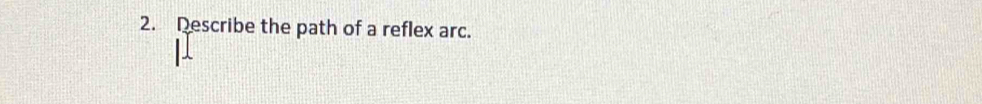 Describe the path of a reflex arc.