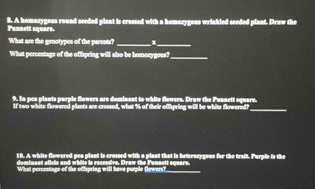 A homozygous round seeded plant is crossed with a homozygous wrinkled seeded plant. Draw the 
Punnett square. 
What are the genotypes of the parents? _x_ 
What percentage of the offspring will also be homozygous?_ 
9. In pea plants purple flowers are dominant to white flowers. Draw the Punnett square. 
If two white flowered plants are crossed, what % of their offspring will be white flowered?_ 
10. A white flowered pea plant is crossed with a plant that is heterozygous for the trait. Purple is the 
dominant allele and white is recessive. Draw the Punnett square. 
What percentage of the offspring will have purple flowers?_