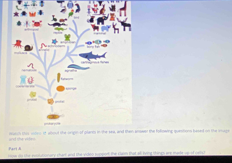 swer the following questions based on the image 
and th 
Part A 
How do the evolutionary chart and the video support the claim that all living things are made up of cells?