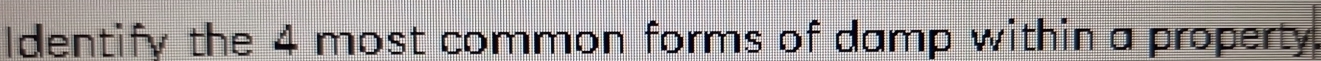 Identify the 4 most common forms of damp within a property.