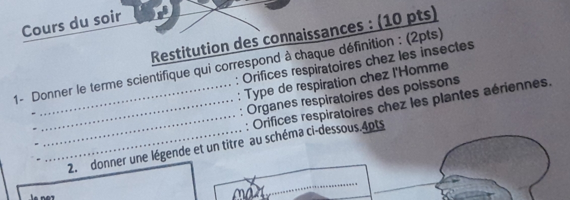 Cours du soir 
Restitution des connaissances : (10 pts) 
: Orifices respiratoires chez les insectes 
1- Donner le terme scientifique qui correspond à chaque définition : (2pts) 
: Type de respiration chez l'Homme 
_ 
Organes respiratoires des poissons 
__: Orifices respiratoires chez les plantes aériennes. 
_2. donner une légende et un titre au schéma ci-dessous.4pts 
_ 
_