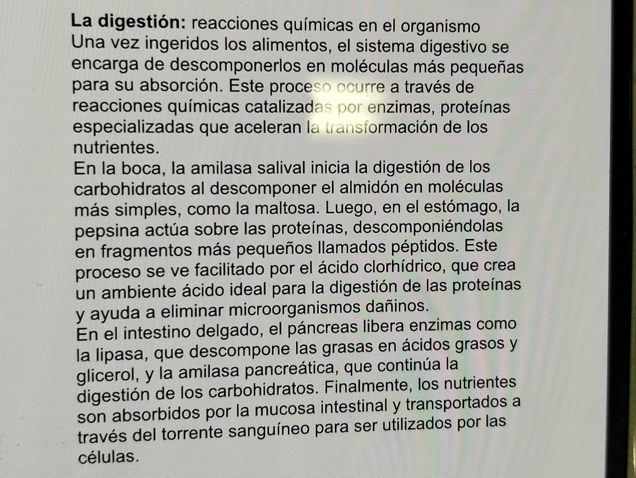 La digestión: reacciones químicas en el organismo 
Una vez ingeridos los alimentos, el sistema digestivo se 
encarga de descomponerlos en moléculas más pequeñas 
para su absorción. Este proceso ocurre a través de 
reacciones químicas catalizadas por enzimas, proteínas 
especializadas que aceleran la transformación de los 
nutrientes. 
En la boca, la amilasa salival inicia la digestión de los 
carbohidratos al descomponer el almidón en moléculas 
más simples, como la maltosa. Luego, en el estómago, la 
pepsina actúa sobre las proteínas, descomponiéndolas 
en fragmentos más pequeños llamados péptidos. Este 
proceso se ve facilitado por el ácido clorhídrico, que crea 
un ambiente ácido ideal para la digestión de las proteínas 
y ayuda a eliminar microorganismos dañinos. 
En el intestino delgado, el páncreas libera enzimas como 
la lipasa, que descompone las grasas en ácidos grasos y 
glicerol, y la amilasa pancreática, que continúa la 
digestión de los carbohidratos. Finalmente, los nutrientes 
son absorbidos por la mucosa intestinal y transportados a 
través del torrente sanguíneo para ser utilizados por las 
células.