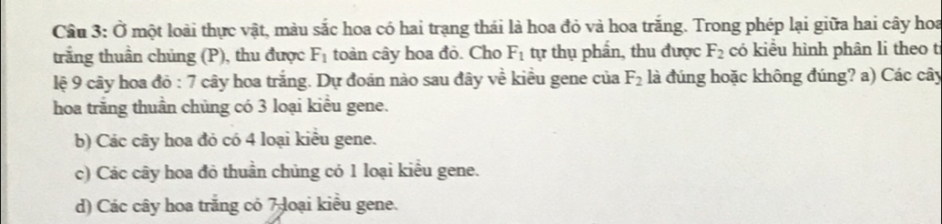 Ở một loài thực vật, màu sắc hoa có hai trạng thái là hoa đỏ và hoa trắng. Trong phép lại giữa hai cây hoa
trắng thuần chủng (P), thu được F_1 toàn cây hoa đỏ. Cho F_1 tự thụ phần, thu được F_2 có kiểu hình phân li theo ti
lệ 9 cây hoa đỏ : 7 cây hoa trắng. Dự đoán nào sau đây về kiều gene của F_2 là đúng hoặc không đúng? a) Các cây
hoa trăng thuần chủng có 3 loại kiểu gene.
b) Các cây hoa đó có 4 loại kiểu gene.
c) Các cây hoa đỏ thuần chủng có 1 loại kiểu gene.
d) Các cây hoa trắng có 7 loại kiểu gene.