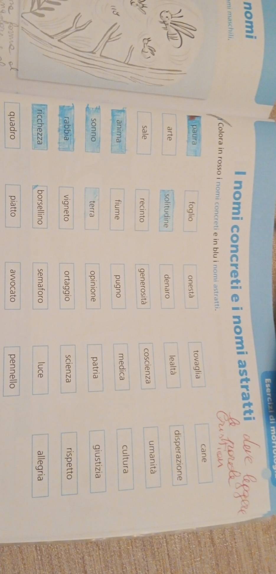 nomi 
mi maschili. I nomi concreti e i nomi astratti 
Colora in rosso i nomi concreti e in blu i nomi astratti. 
cane 
paura foglio onestà 
tovaglia 
arte solitudine denaro 
lealtà disperazione 
sale recinto generosità 
coscienza 
umanità 
anima fiume pugno 
medica cultura 
sonno terra opinione 
patria giustizia 
rabbia vigneto ortaggio scienza rispetto 
ricchezza borsellino semaforo luce allegria 
quadro piatto avvocato pennello