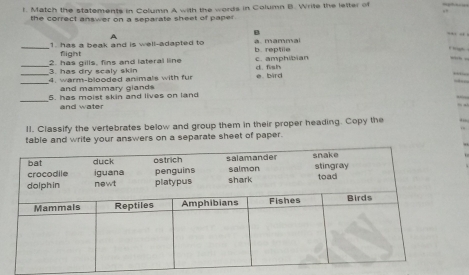 Match the statements in Column A with the words in Column B. Write the letter of
the correct answer on a separate sheet of paper .
B
A
_1. has a beak and is well-adapted to a. mammai
flight b. reptile
_3. has dry scaly skin 2. has gills, fins and lateral line c. amphibian d fish
_4. warm-blooded animals with fur e. bird
and mammary glands
_
5. has moist skin and lives on land
and water
II. Classify the vertebrates below and group them in their proper heading. Copy the
table and write your answers on a separate sheet of paper.