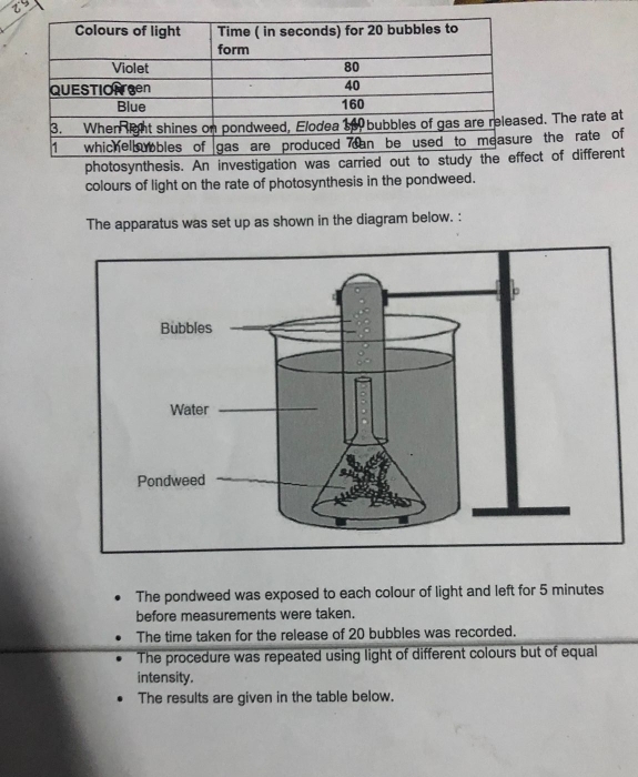 1? 
ed. The rate at 
e the rate of 
photosynthesis. An inveect of different 
colours of light on the rate of photosynthesis in the pondweed. 
The apparatus was set up as shown in the diagram below. : 
The pondweed was exposed to each colour of light and left for 5 minutes
before measurements were taken. 
The time taken for the release of 20 bubbles was recorded. 
The procedure was repeated using light of different colours but of equal 
intensity. 
The results are given in the table below.