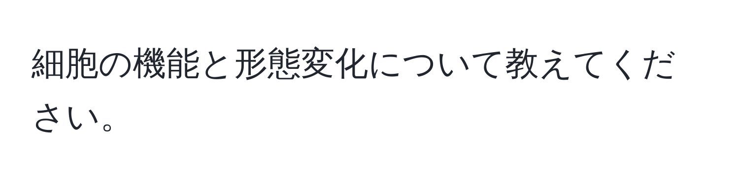 細胞の機能と形態変化について教えてください。