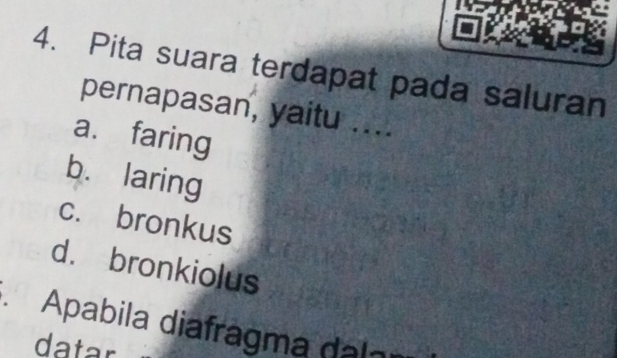 Pita suara terdapat pada saluran
pernapasan, yaitu ....
a. faring
b. laring
c. bronkus
d. bronkiolus
Apabila diafragma dal
datar