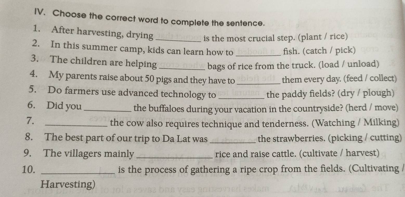 Choose the correct word to complete the sentence. 
1. After harvesting, drying_ 
is the most crucial step. (plant / rice) 
2. In this summer camp, kids can learn how to_ 
fish. (catch / pick) 
3. The children are helping_ 
bags of rice from the truck. (load / unload) 
4. My parents raise about 50 pigs and they have to_ them every day. (feed / collect) 
5. Do farmers use advanced technology to _the paddy fields? (dry / plough) 
6. Did you_ 
the buffaloes during your vacation in the countryside? (herd / move) 
7._ 
the cow also requires technique and tenderness. (Watching / Milking) 
8. The best part of our trip to Da Lat was _the strawberries. (picking / cutting) 
9. The villagers mainly _rice and raise cattle. (cultivate / harvest) 
10. _is the process of gathering a ripe crop from the fields. (Cultivating / 
Harvesting)