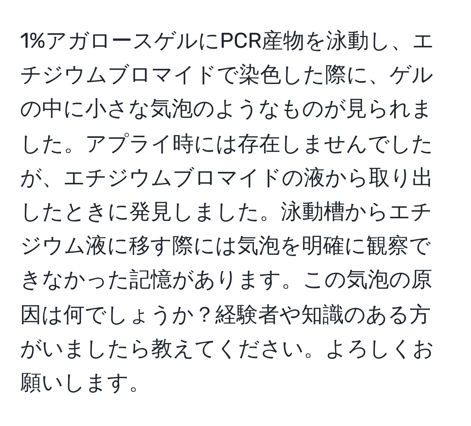 1%アガロースゲルにPCR産物を泳動し、エチジウムブロマイドで染色した際に、ゲルの中に小さな気泡のようなものが見られました。アプライ時には存在しませんでしたが、エチジウムブロマイドの液から取り出したときに発見しました。泳動槽からエチジウム液に移す際には気泡を明確に観察できなかった記憶があります。この気泡の原因は何でしょうか？経験者や知識のある方がいましたら教えてください。よろしくお願いします。