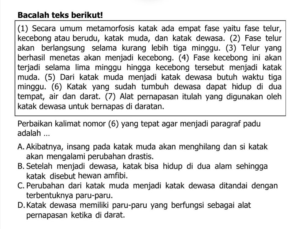 Bacalah teks berikut!
(1) Secara umum metamorfosis katak ada empat fase yaitu fase telur,
kecebong atau berudu, katak muda, dan katak dewasa. (2) Fase telur
akan berlangsung selama kurang lebih tiga minggu. (3) Telur yang
berhasil menetas akan menjadi kecebong. (4) Fase kecebong ini akan
terjadi selama lima minggu hingga kecebong tersebut menjadi katak
muda. (5) Dari katak muda menjadi katak dewasa butuh waktu tiga
minggu. (6) Katak yang sudah tumbuh dewasa dapat hidup di dua
tempat, air dan darat. (7) Alat pernapasan itulah yang digunakan oleh
katak dewasa untuk bernapas di daratan.
Perbaikan kalimat nomor (6) yang tepat agar menjadi paragraf padu
adalah ...
A. Akibatnya, insang pada katak muda akan menghilang dan si katak
akan mengalami perubahan drastis.
B. Setelah menjadi dewasa, katak bisa hidup di dua alam sehingga
katak disebut hewan amfibi.
C. Perubahan dari katak muda menjadi katak dewasa ditandai dengan
terbentuknya paru-paru.
D.Katak dewasa memiliki paru-paru yang berfungsi sebagai alat
pernapasan ketika di darat.