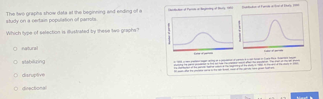 The two graphs show data at the beginning and ending of a Distribution of Parrots at Beginning of Study, 1950 Distribution of Pamots at End of Stuxly, 2000
study on a certain population of parrots.
Which type of selection is illustrated by these two graphs? 1
i
natural
Cator of pereta Color of perruts
stabilizing
In 1960, a new predetor began acting on a population of parors in a rain turen in Custa Pica. Scwntars began
shufying the partor pooulartion to find out how the prefanor would effect the population. The chart on the let show
the distribution of the penuts' fetther colurs at the beginning of the study in 1950. At the end of the sturty in 2000.
disruptive 50 years wfter the predator came to the ran forest, must of the semots have gran feathers
directional
Mast