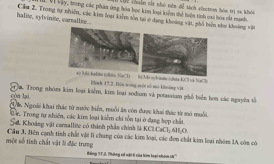 cực chuân rất nhỏ nên dễ tách electron hóa trị ra khỏi
M. Vì vậy, trong các phản ứng hóa học kim loại kiểm thể hiện tính oxi hóa rất mạnh.
Câu 2. Trong tự nhiên, các kim loại kiềm tồn tại ở dạng khoáng vật, phổ biến như khoáng vật
halite, sylvinite, carnallite...
a) Mô halite (chứa NaCl) vinite (chứa KCl và NaCl)
Hình 17.2. Bên trong một số mô khoáng vật
a. Trong nhóm kim loại kiềm, kim loại sodium và potassium phổ biến hơn các nguyên tố
còn lại.
Ub. Ngoài khai thác từ nước biển, muối ăn còn được khai thác từ mỏ muối.
Dc. Trong tự nhiên, các kim loại kiềm chỉ tồn tại ở dạng hợp chất.
Sd. Khoáng vật carnallite có thành phần chính là KCl.CaCl_2.6H_2O. 
Câu 3. Bên cạnh tính chất vật lí chung của các kim loại, các đơn chất kim loại nhóm IA còn có
một số tính chất vật lí đặc trưng
Bảng 17.2. Thông số vật lí của kim loại nhóm IA''