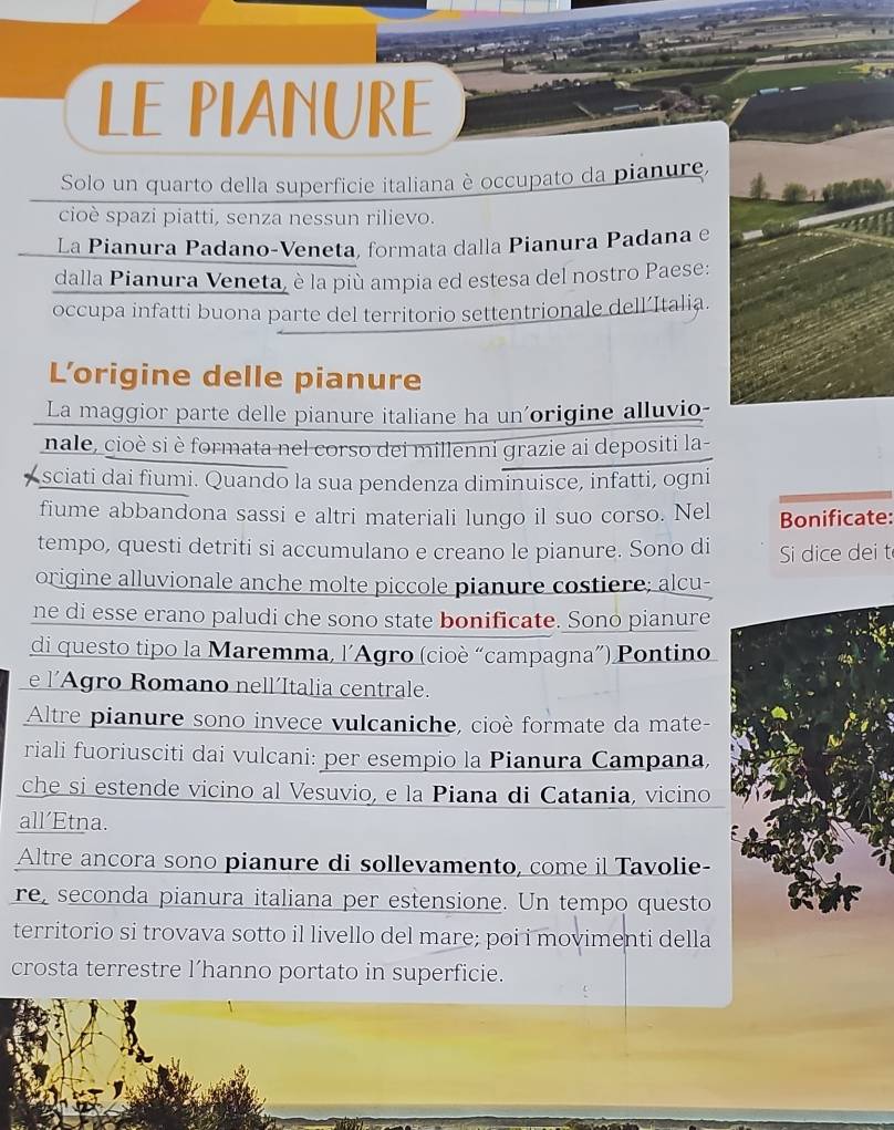 LE PIANURE 
Solo un quarto della superficie italiana è occupato da pianure, 
cioè spazi piatti, senza nessun rilievo. 
La Pianura Padano-Veneta, formata dalla Pianura Padana e 
dalla Pianura Veneta, è la più ampia ed estesa del nostro Paese: 
occupa infatti buona parte del territorio settentrionale dell’Italia. 
L'origine delle pianure 
La maggior parte delle pianure italiane ha un'origine alluvio- 
nale, cioè si è formata nel corso dei millenni grazie ai depositi la- 
sciati dai fiumi. Quando la sua pendenza diminuisce, infatti, ogni 
fiume abbandona sassi e altri materiali lungo il suo corso. Nel Bonificate: 
tempo, questi detriti si accumulano e creano le pianure. Sono di Si dice dei t 
origine alluvionale anche molte piccole pianure costiere; alcu- 
ne di esse erano paludi che sono state bonificate. Sono pianure 
di questo tipo la Maremma, l’Agro (cioè “campagna”) Pontino 
e l’Agro Romano nell´Italia centrale. 
Altre pianure sono invece vulcaniche, cioè formate da mate- 
riali fuoriusciti dai vulcani: per esempio la Pianura Campana, 
che si estende vicino al Vesuvio, e la Piana di Catania, vicino 
all’Etna. 
Altre ancora sono pianure di sollevamento, come il Tavolie- 
re, seconda pianura italiana per estensione. Un tempo questo 
territorio si trovava sotto il livello del mare; poi i movimenti della 
crosta terrestre l’hanno portato in superficie.